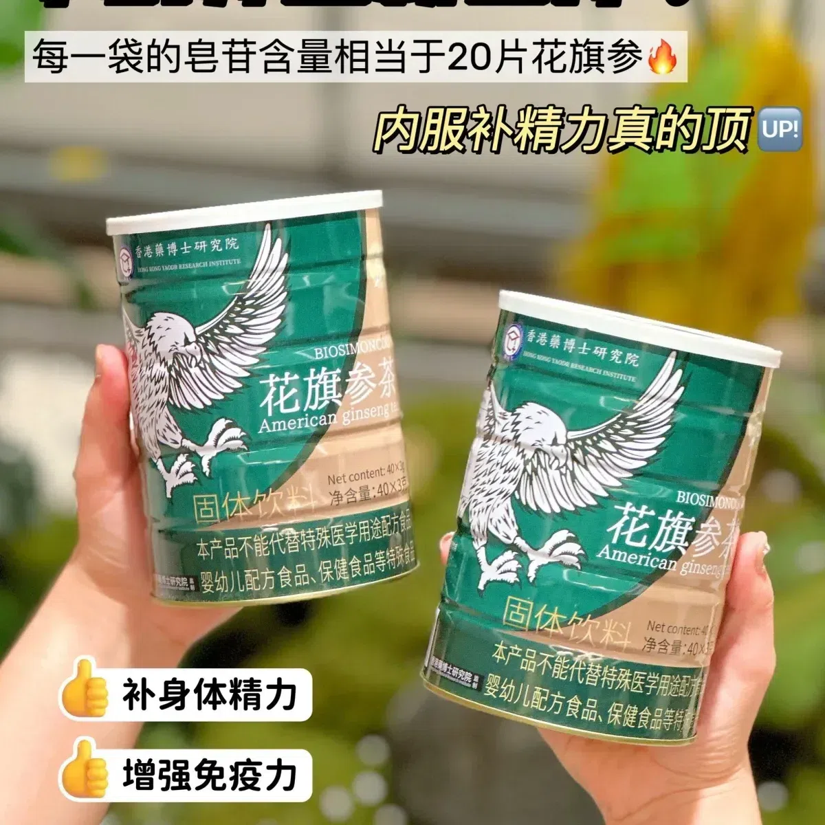 American ginseng infusion 1 can
