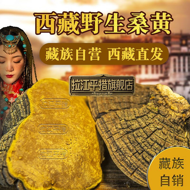 Yellow Ganoderma lucidum*100g