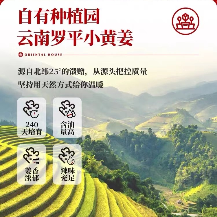 SHOU QUAN ZHAI】 Brown sugar with ginger tea 120g/10bag 1box - Weee!