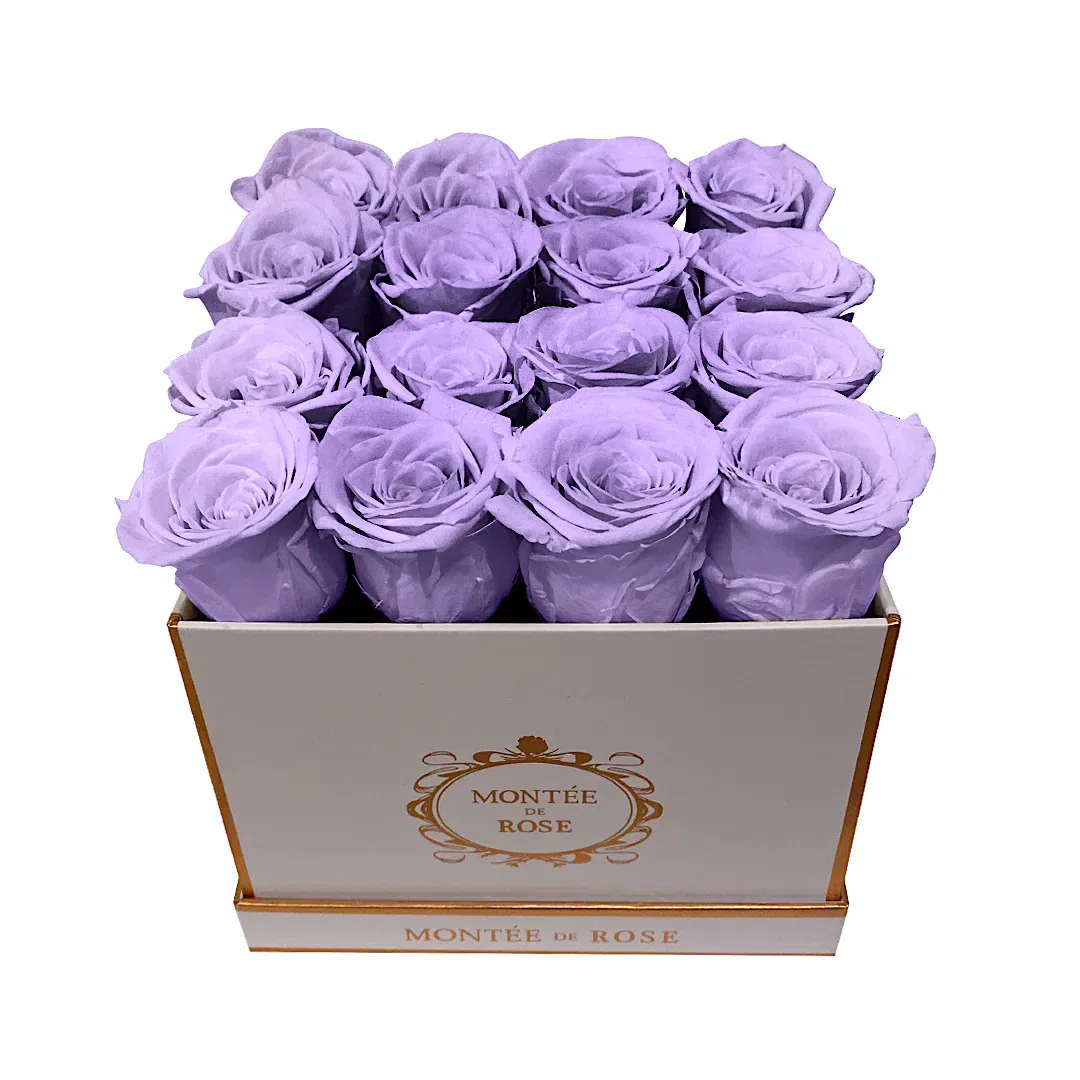 White Medium Square Light Purple 1 each