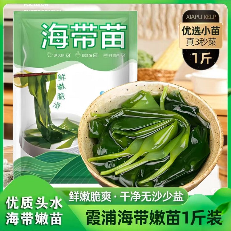 霞浦海带苗鲜嫩脆滑火锅凉拌食材500g*1袋