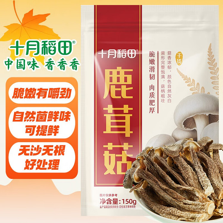 十月稻田 鹿茸菇 高蛋白 脆嫩提鲜 山珍菌菇干货 150 克
