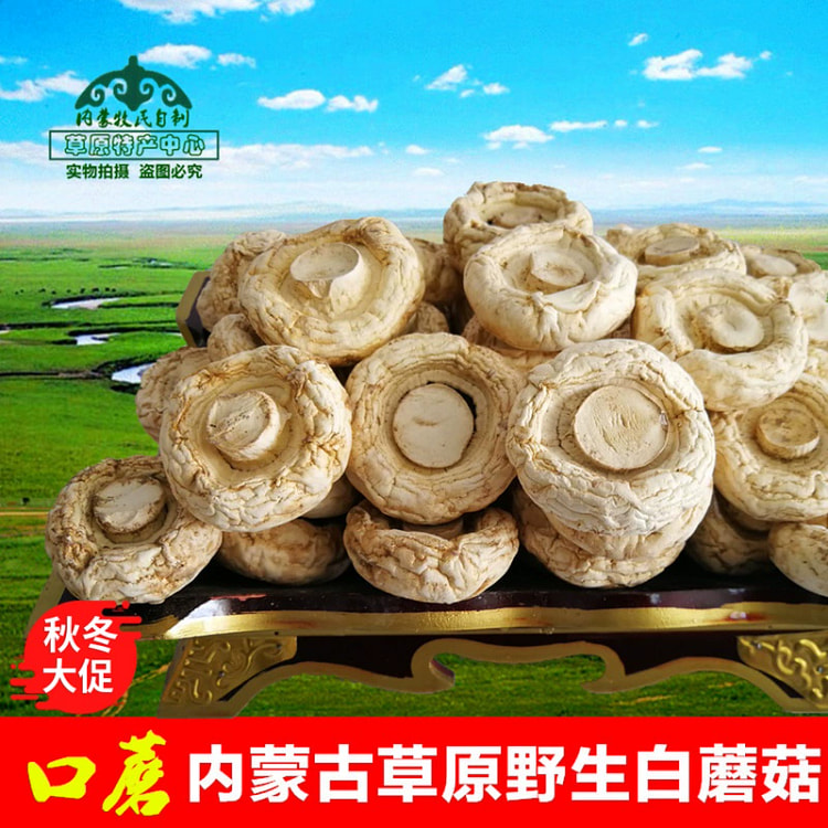 野生口蘑干货250g*1袋 草原白蘑菇双孢菇