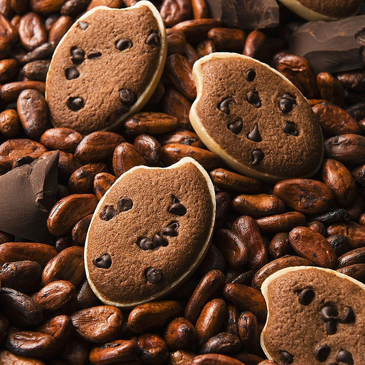 Osaka Kitahama Five Senses Chocolate Cookies 10pcs