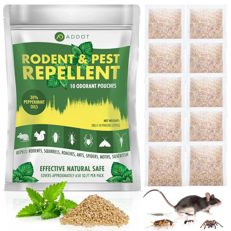 10 Pack Natural Peppermint Oil Mouse Repellent 10 pack