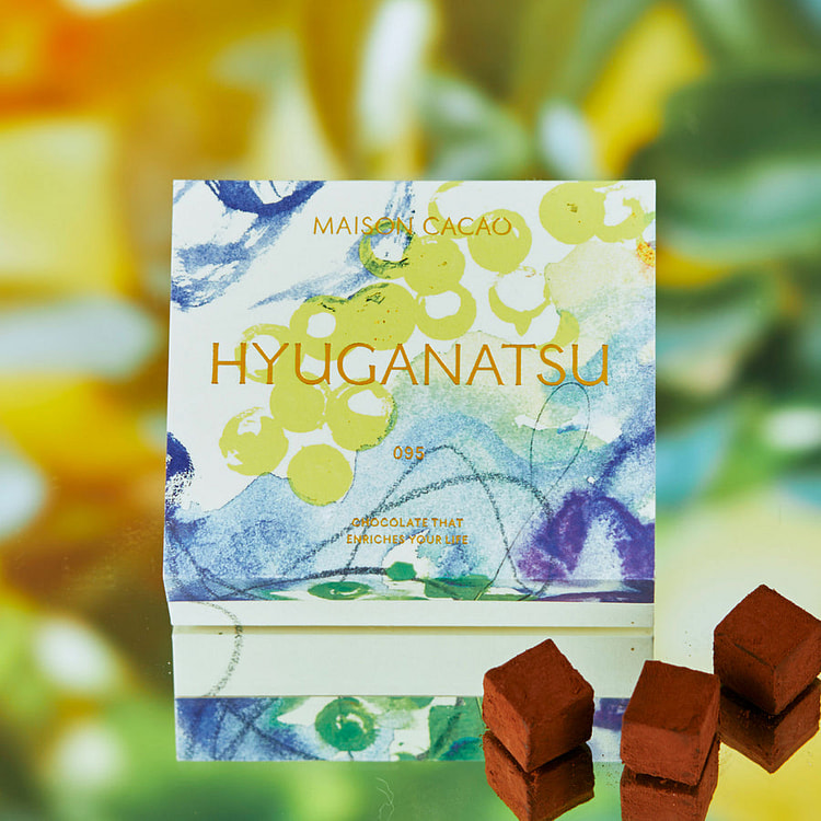 メゾンカカオ 生チョコレート"HYUGANATSU / 日向夏" 16粒入 1 箱