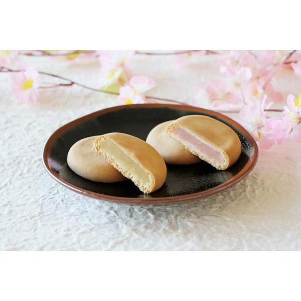 京伏見菓匠 和晃 夹心饼 牛奶 樱花味 10枚