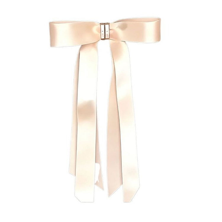 1 magnetic butterfly clip with meatball head 1 case