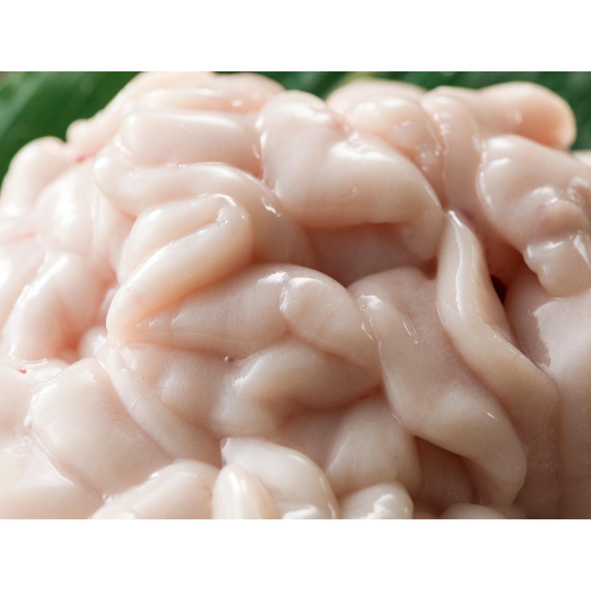 Shirako 500 g