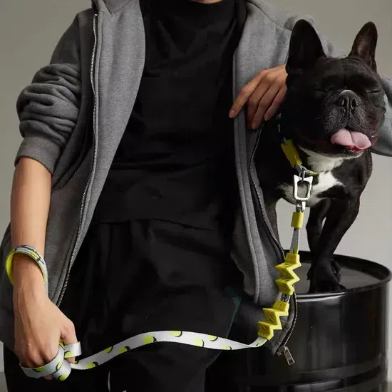 【MAOGOUBLUE】Self-unwinding Dog Leash Set – Lemon 1 each