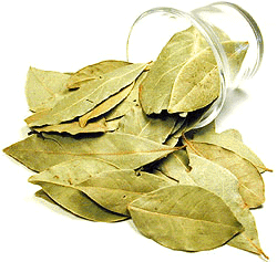 Nirav Bay Leaves (Tejpata), 1 oz bag 1 oz