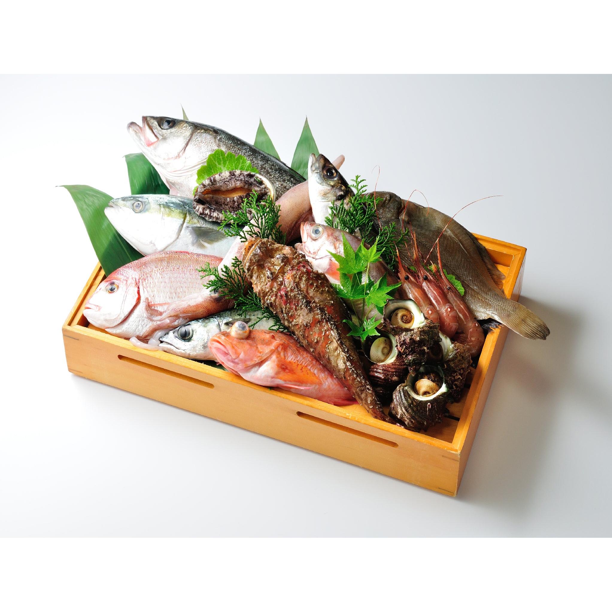 Omakase Hokkaido Fish Box 6lb 6 lb