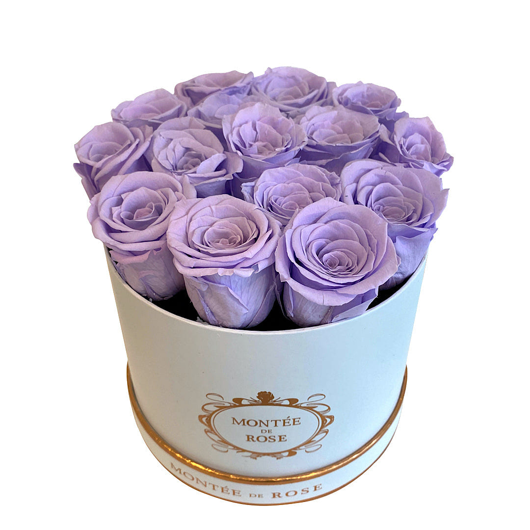 White Medium Round Light Purple 1 each