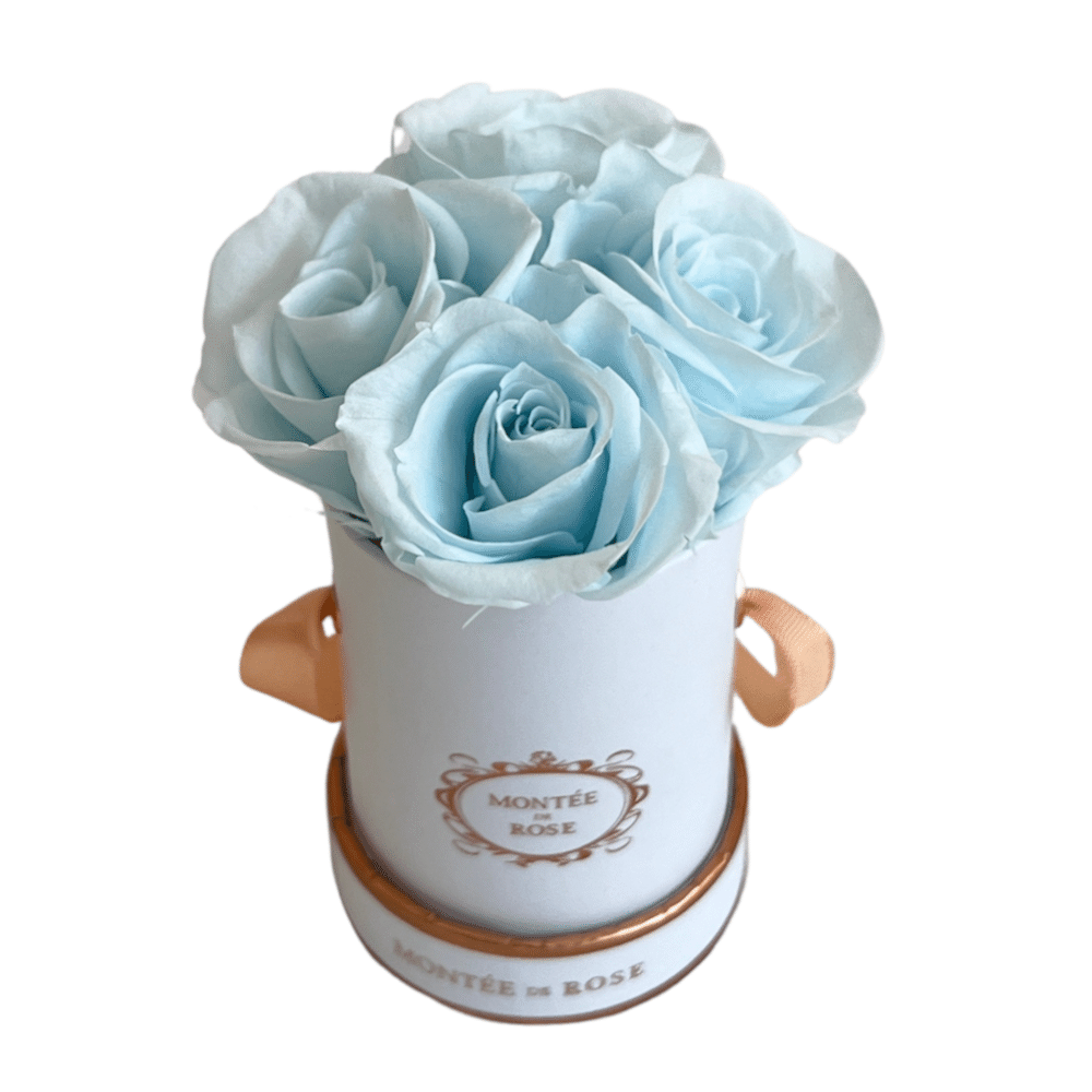 La Petite White Mini Round Baby Blue 1 each