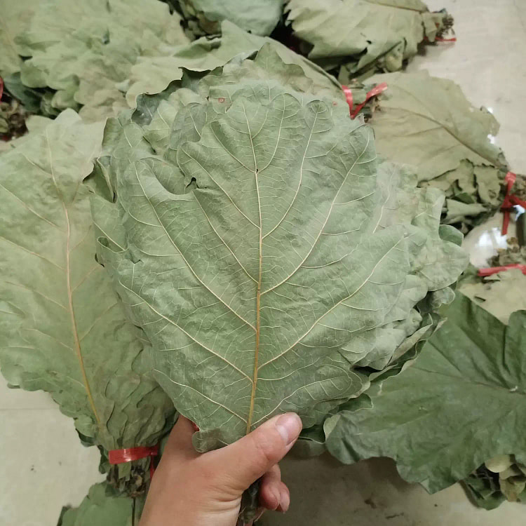 怡乡缘 伯乐叶干粽叶 50张 1 盒