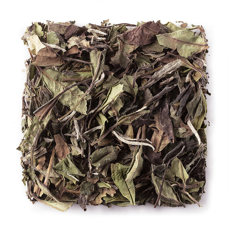 WHF Sau-Mei (Shou Mei) White Tea #1080 1 each
