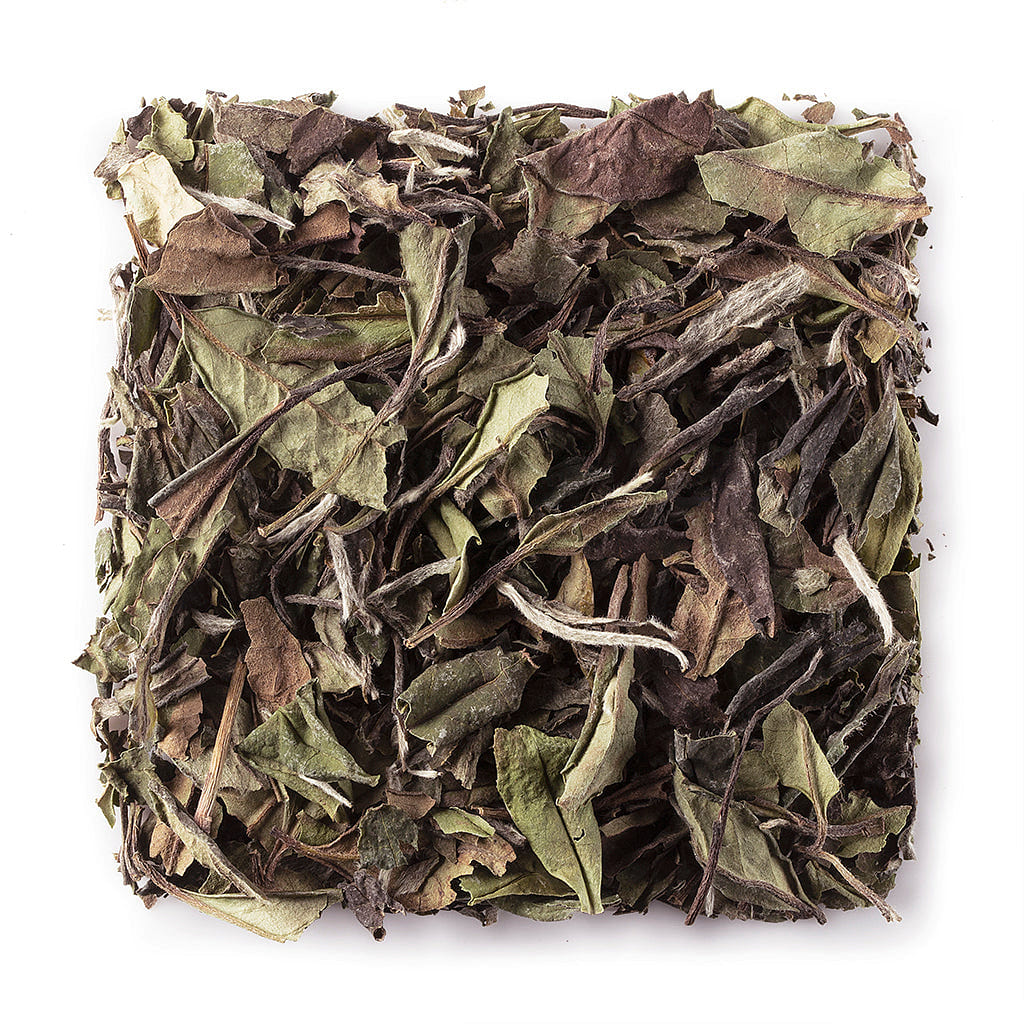WHF Sau-Mei (Shou Mei) White Tea #1080 1 each