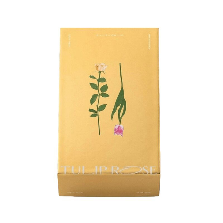 TULIPROSE奶酪巧克力夹心猫舌饼干 10枚装 1 盒