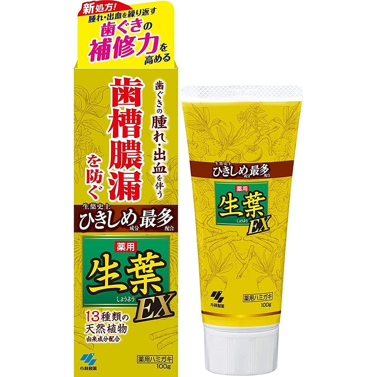 KOBAYASHI EX Toothpaste 100 g