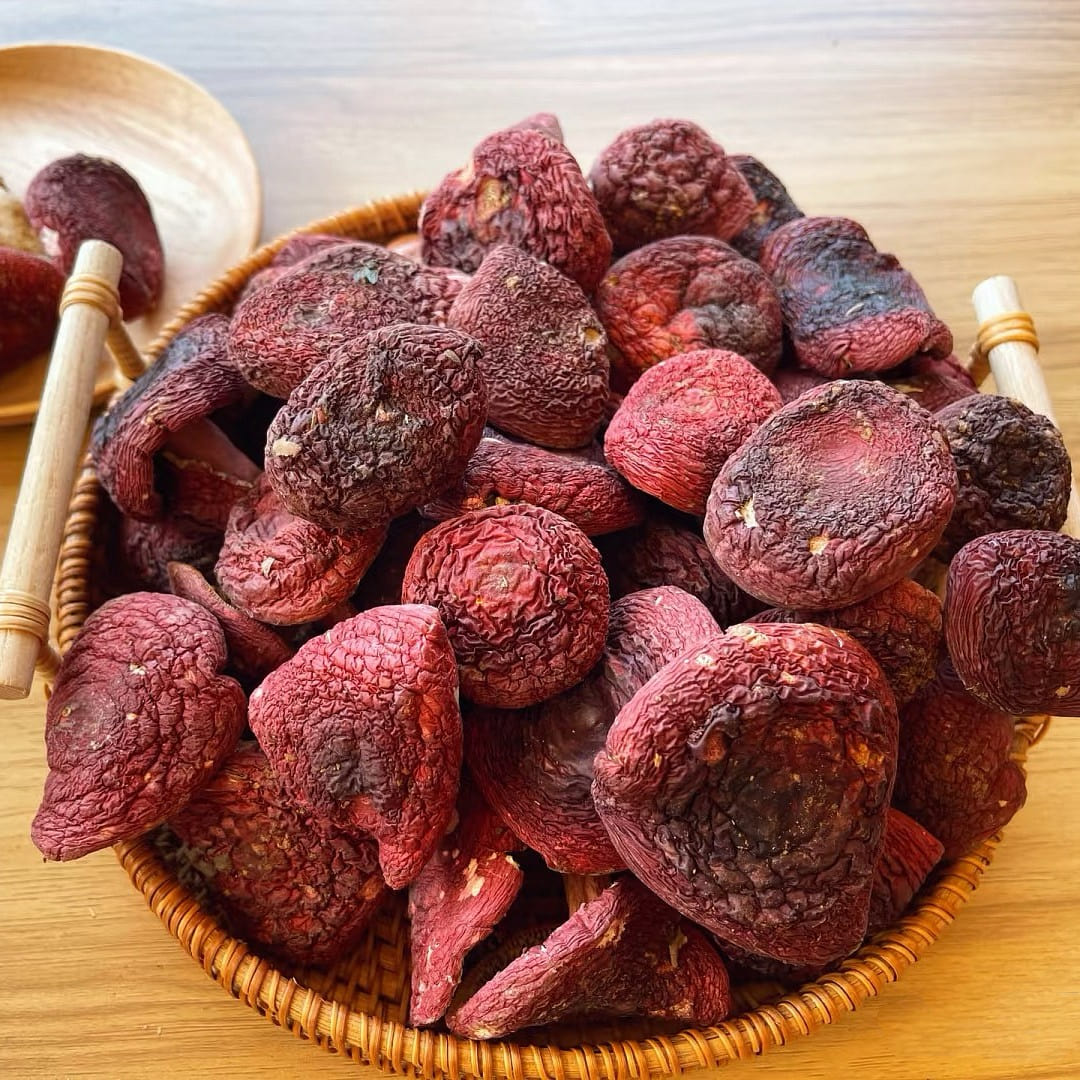 Dried Wild Russula Mushrooms,Nutritious Mushrooms 2 oz