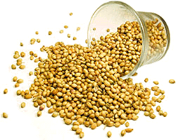 Nirav Coriander Seeds (Dhania) - 7 oz 7 oz