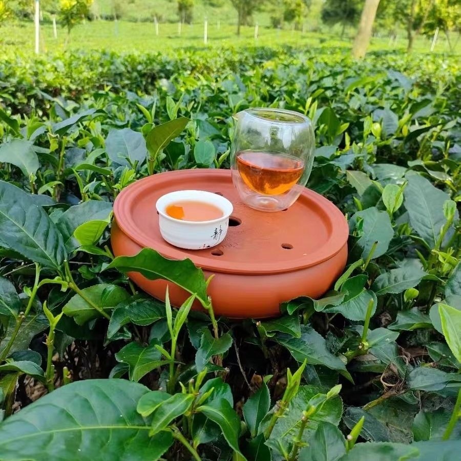 柠香红英红九号红茶柠檬250g*1 - Weee!