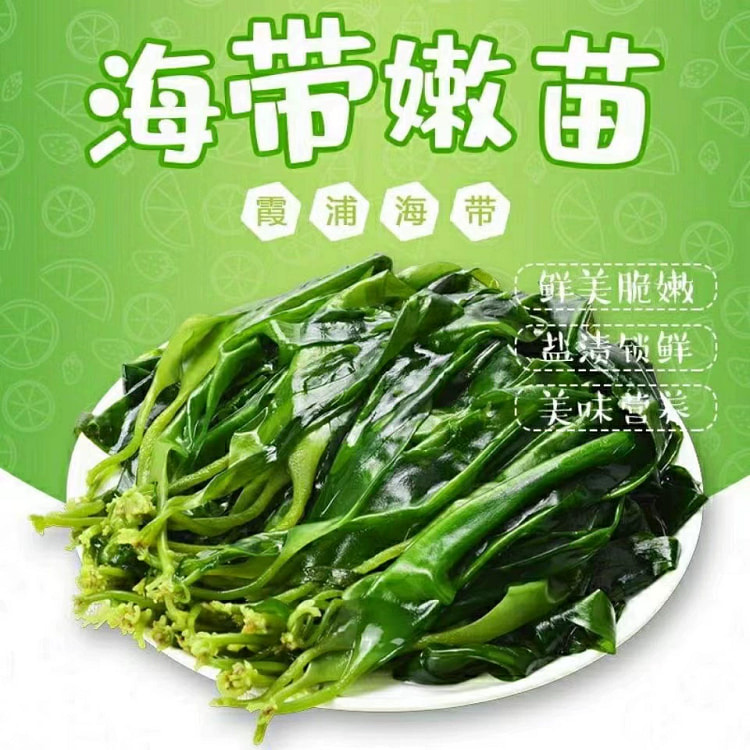 鲜海带苗 霞浦新鲜盐渍海带芽火锅凉拌500g*1袋