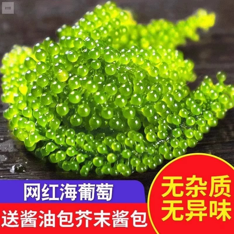 Sea grapes 100g*1 100 g