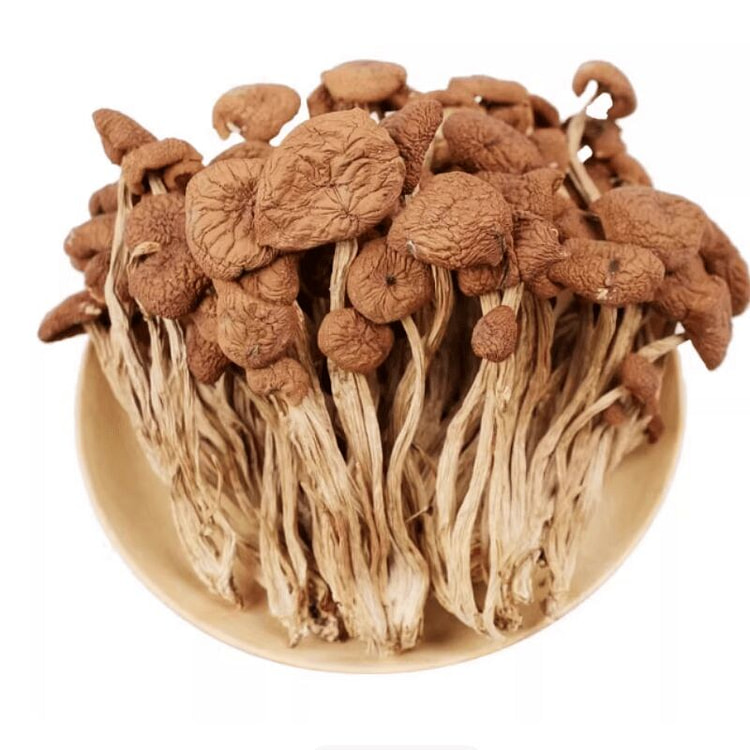 菇小可   干茶树菇  100g*1袋 100 克