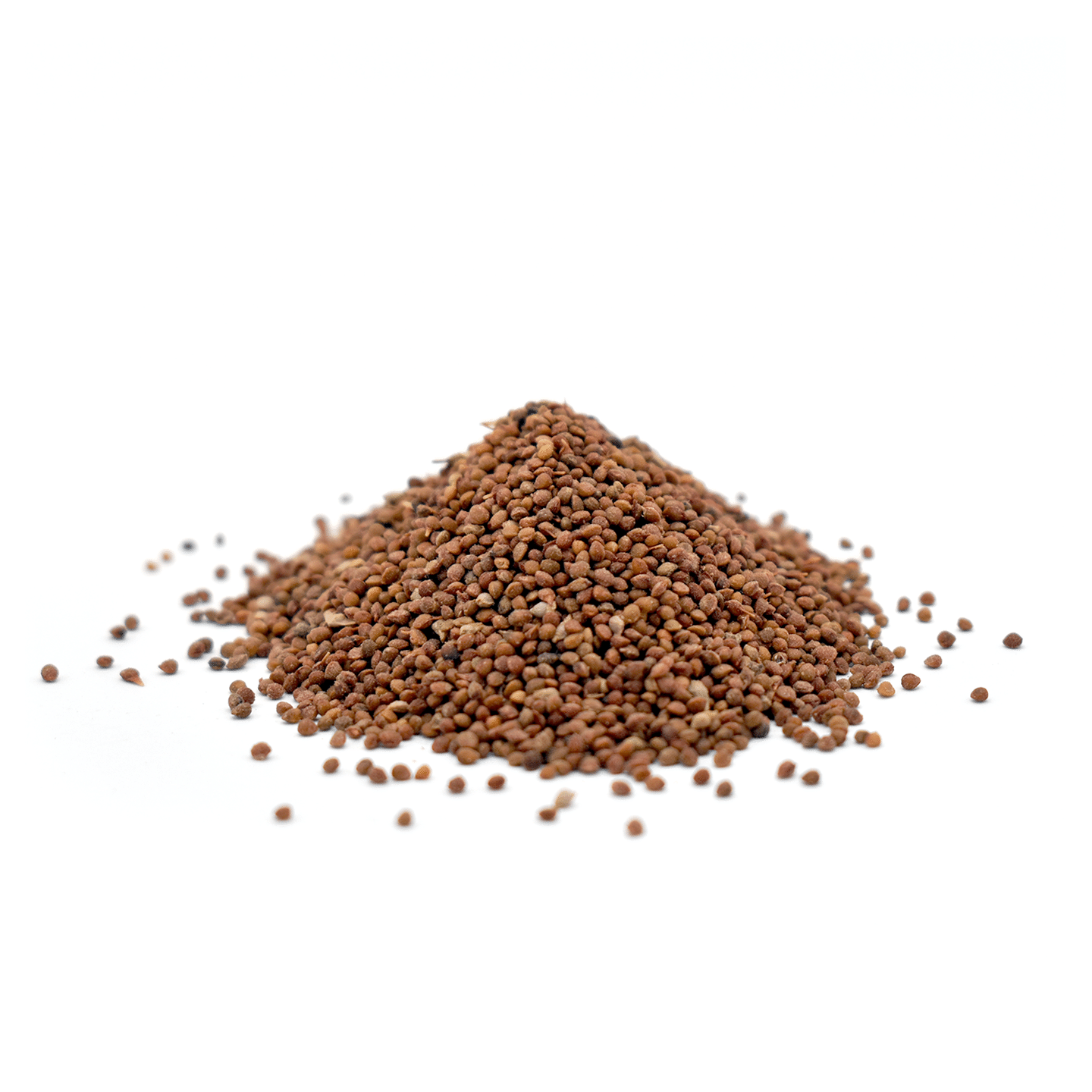 CHU SHI ZI – Paper Mulberry Fruit – Custom Amount 100g 1 each