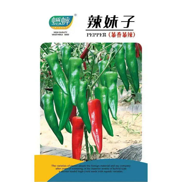 辣椒种子约百粒