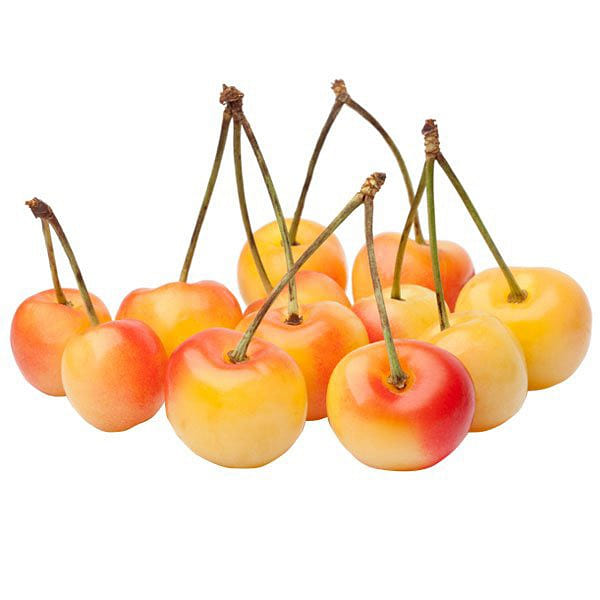 Washington Rainier Cherries 1 lb