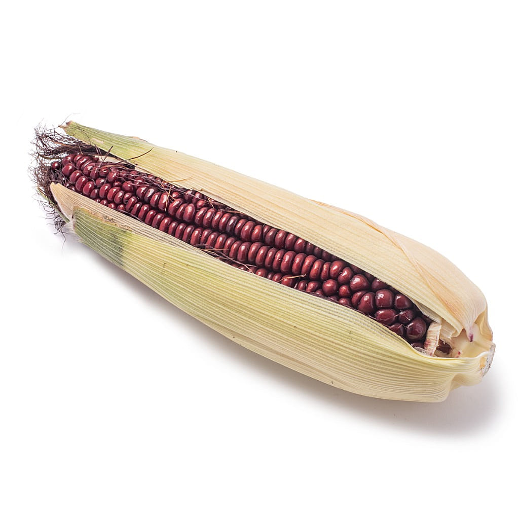 Purple Glutinous Corn 1 count