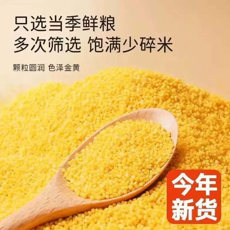Yellow Millet 100 g