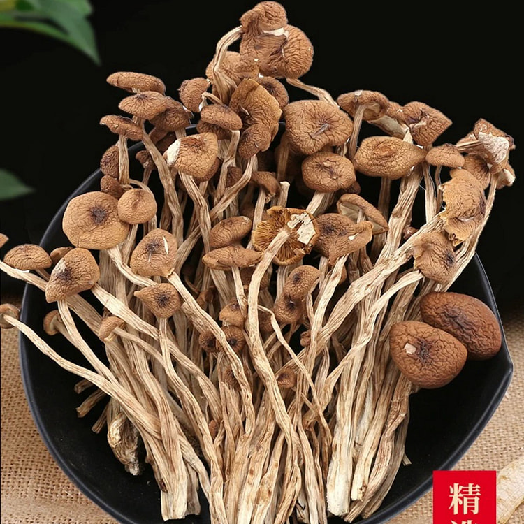 云南鲜美干货茶树菇