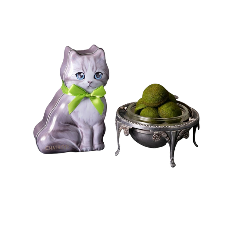 Popularity No. 1 Cute Cat Fernancier Matcha Flavor 5 Pieces