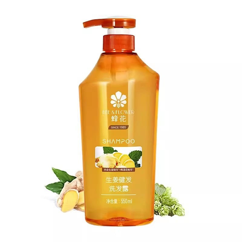 Ginger Shampoo Silicone Free Oil Control Hair Strengthening Shampoo 550ml 550 ml