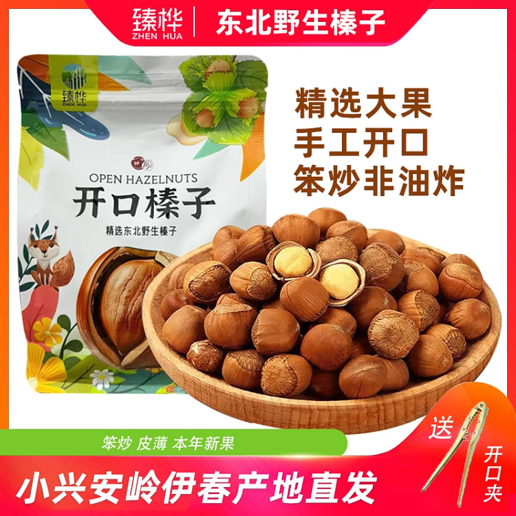 Wild open hazelnut