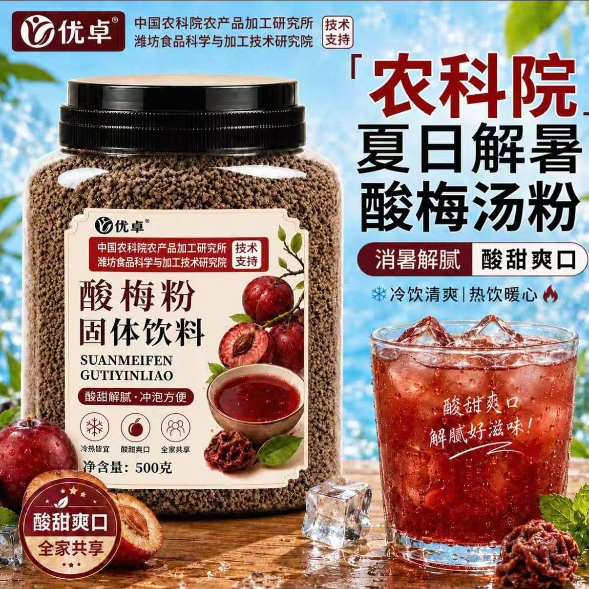 Sour Plum Powder 500 g