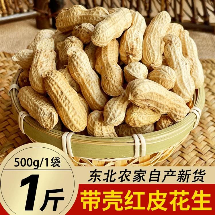 东北红皮花生农家新鲜生带壳红皮花生500g*1袋