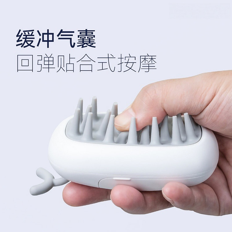 Scalp Care Massage Comb with Medication Function