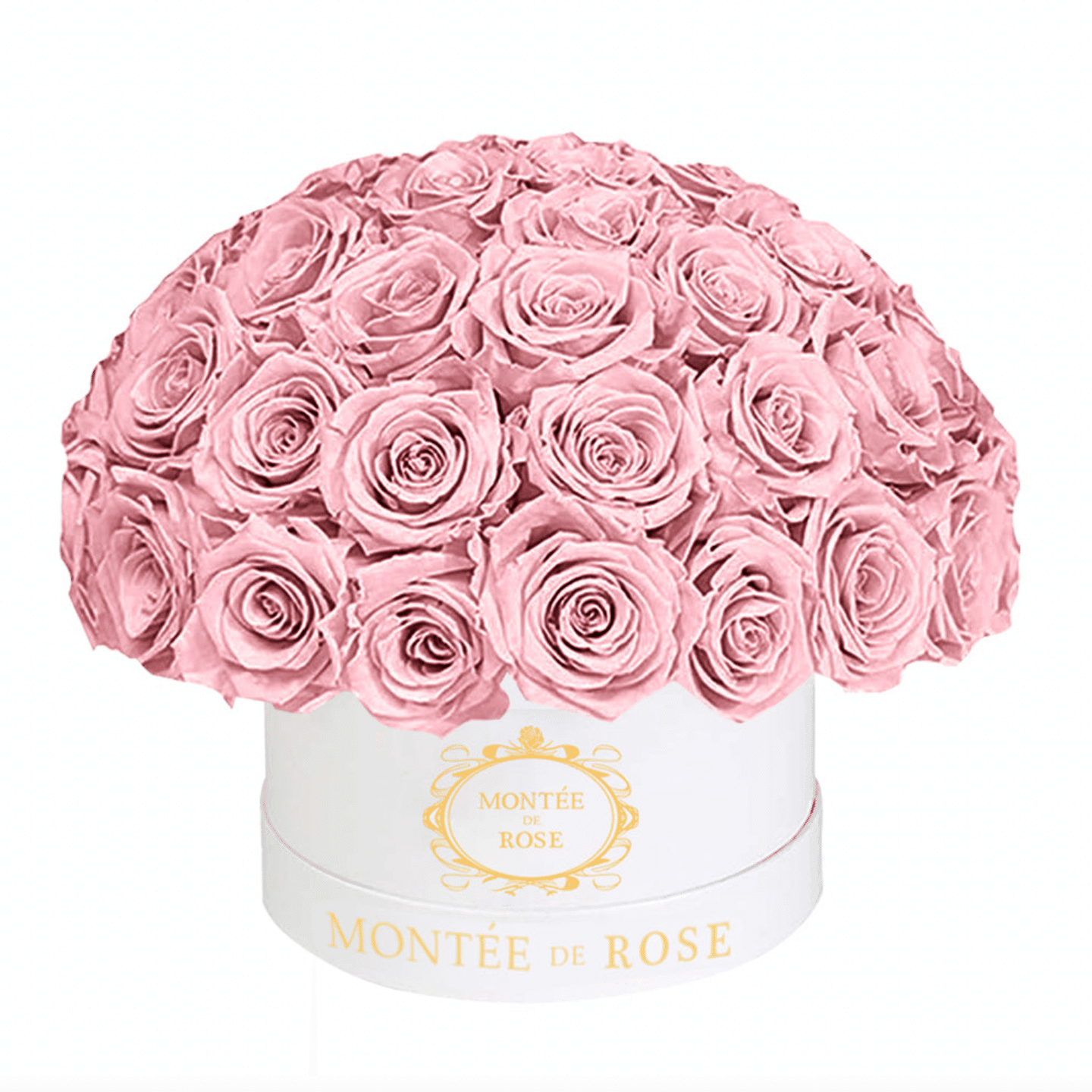 White Medium Dome Sakura 1 each