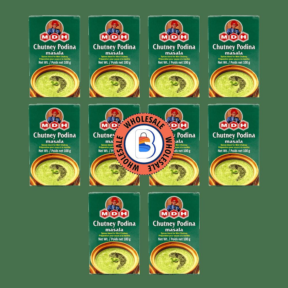 MDH Chutney Podina Masala – 100g x 10 Pack 1 each