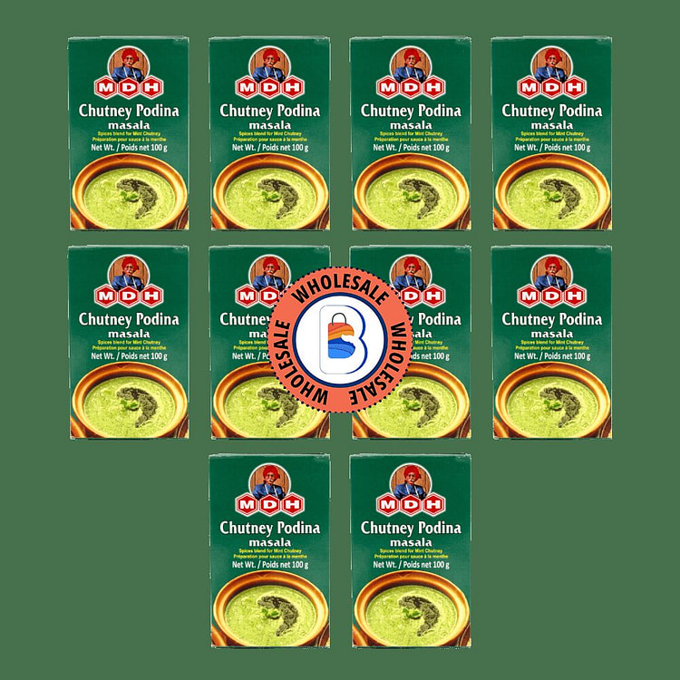 MDH Chutney Podina Masala - 100g x 10 Pack 1 each