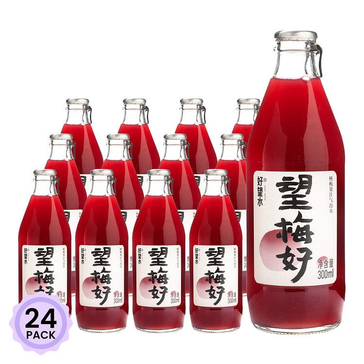 好望水 望梅好 杨梅气泡果汁 300 毫升*24 包