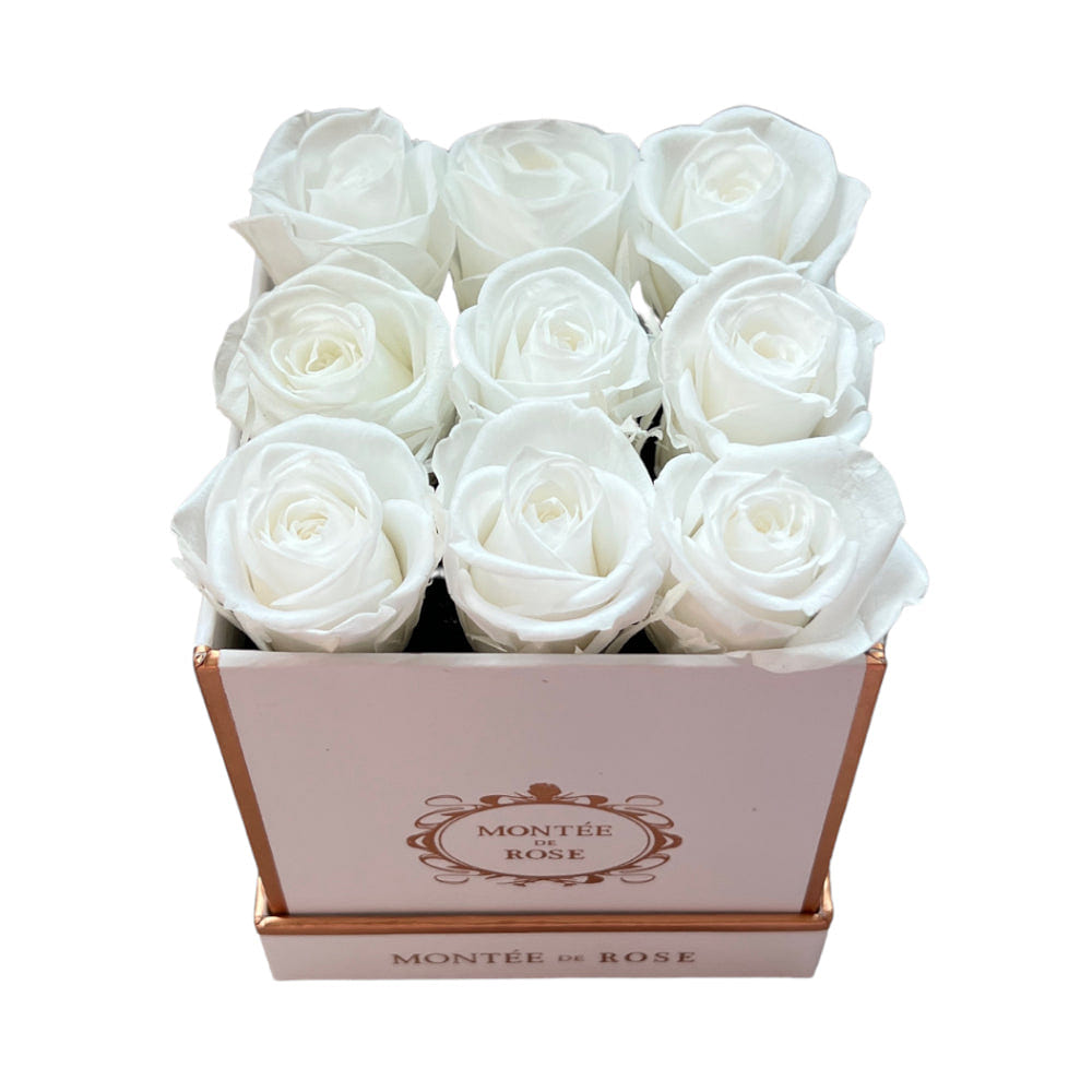 White Square La Petite Rose Pure White 1 each