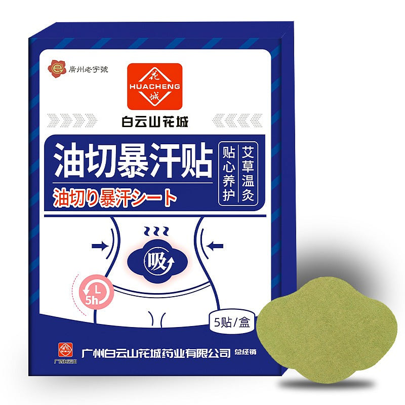 Wormwood Oil Cutting and Sweating Patch 5 Paste 1 box