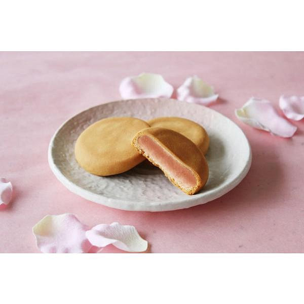 京伏見菓匠 和晃 夹心饼 樱花味 5枚