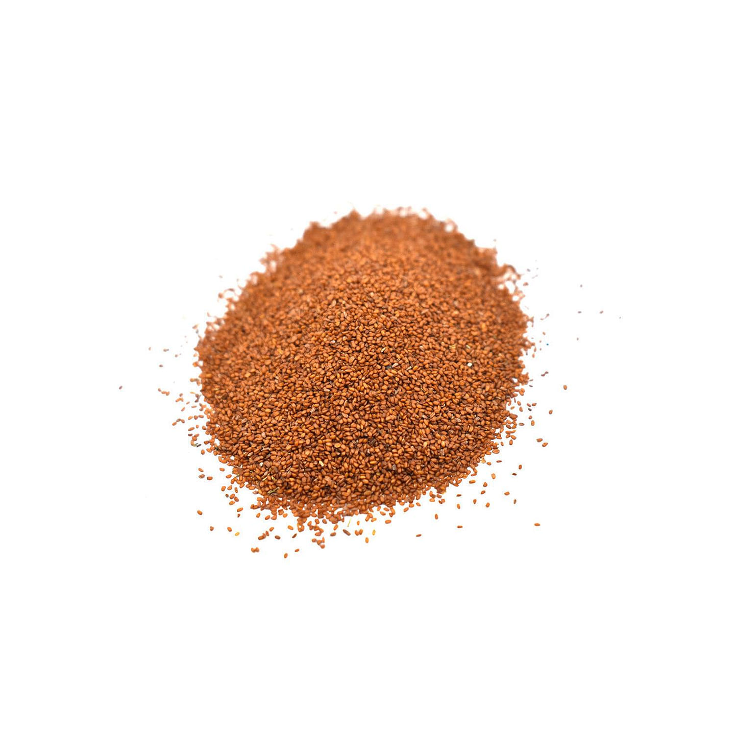 TING LI ZI – Tingli Seed – Custom Amount 1lb lb 1 each