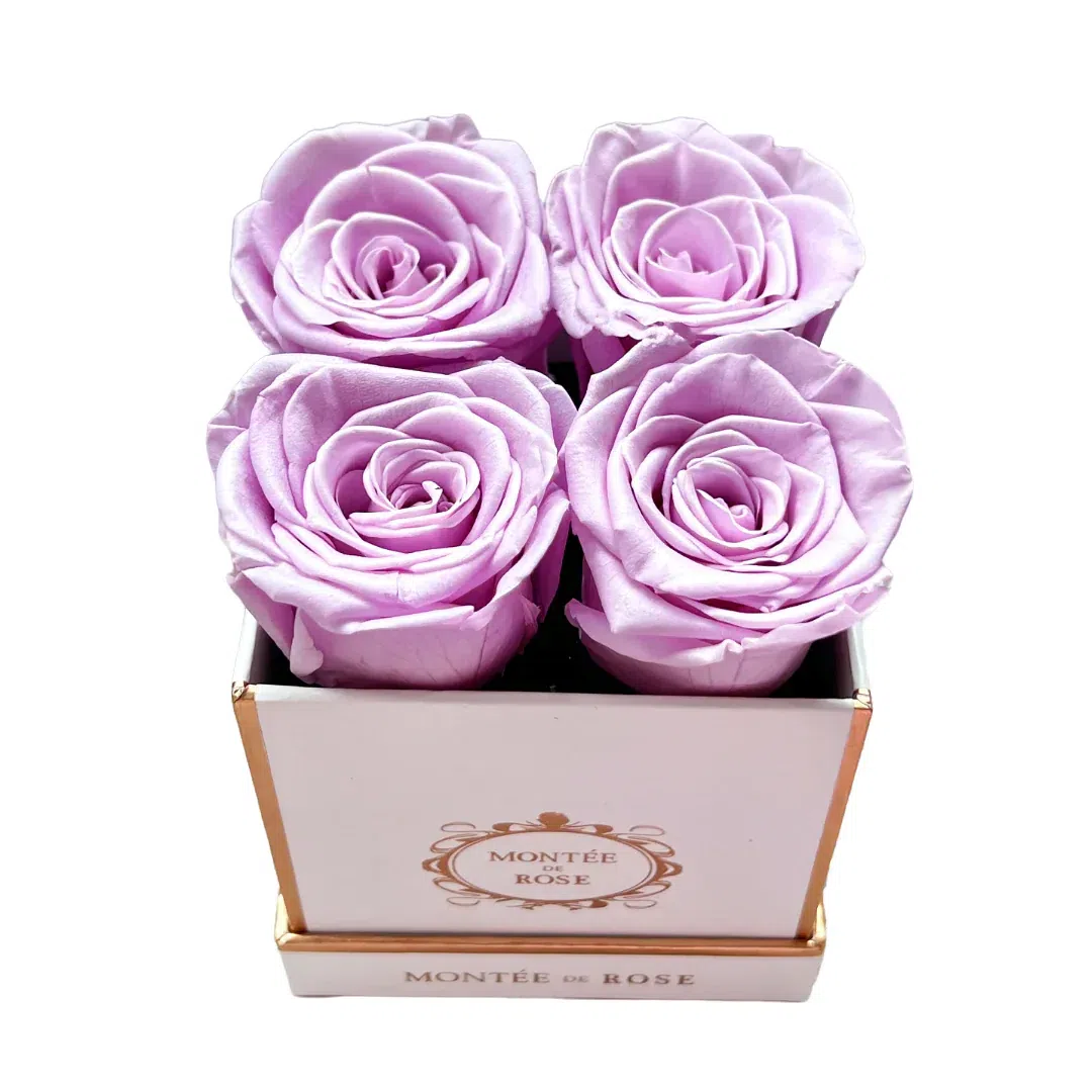White Small Square Light Purple 1 each
